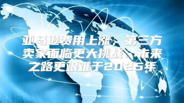 亚马逊费用上涨，第三方卖家面临更大挑战：未来之路更艰难于2025年