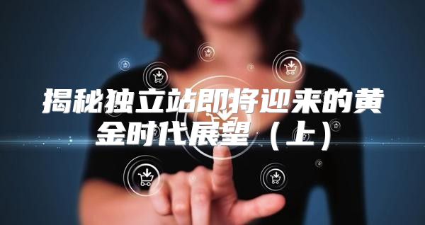 揭秘独立站即将迎来的黄金时代展望上