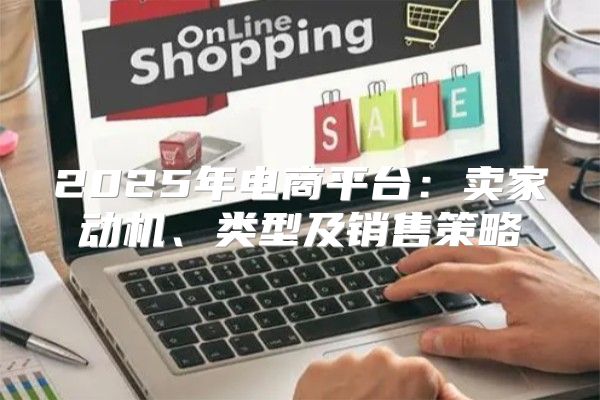 2025年电商平台：卖家动机、类型及销售策略