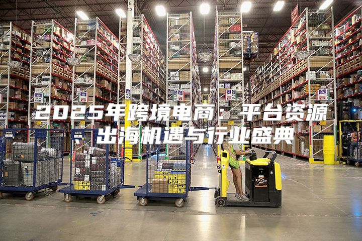 2025年跨境电商：平台资源、出海机遇与行业盛典