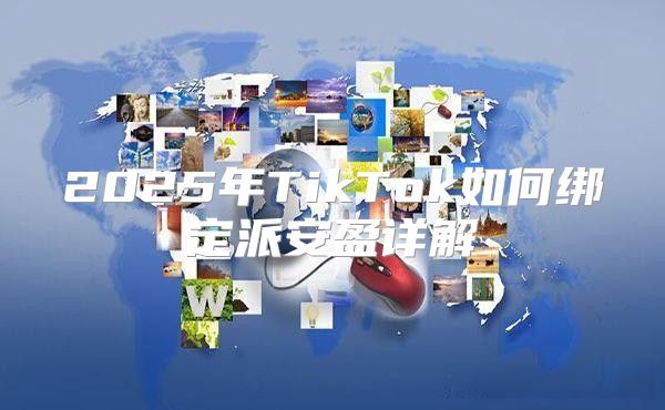 2025年TikTok如何绑定派安盈详解