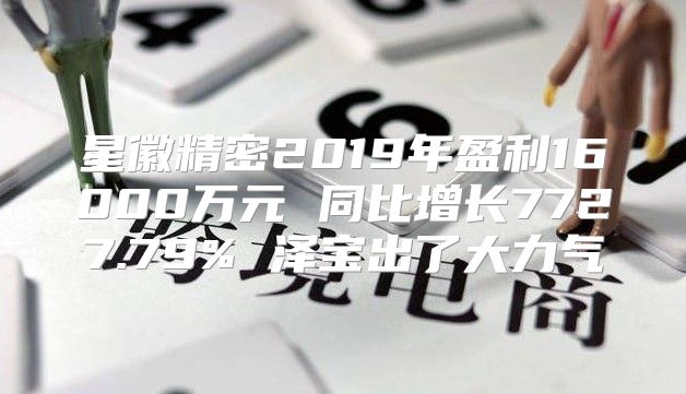 星徽精密2019年盈利16000万元 同比增长7727.79% 泽宝出了大力气