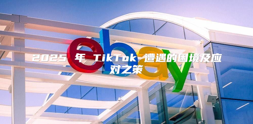 2025 年 TikTok 遭遇的困境及应对之策