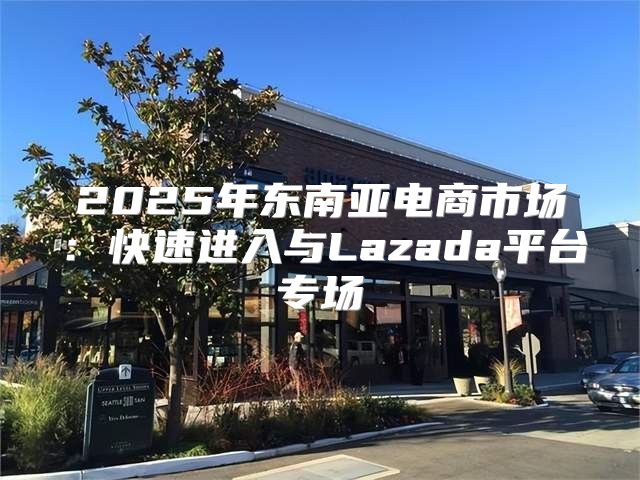 2025年东南亚电商市场：快速进入与Lazada平台专场