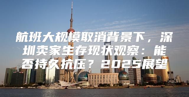 航班大规模取消背景下，深圳卖家生存现状观察：能否持久抗压？2025展望