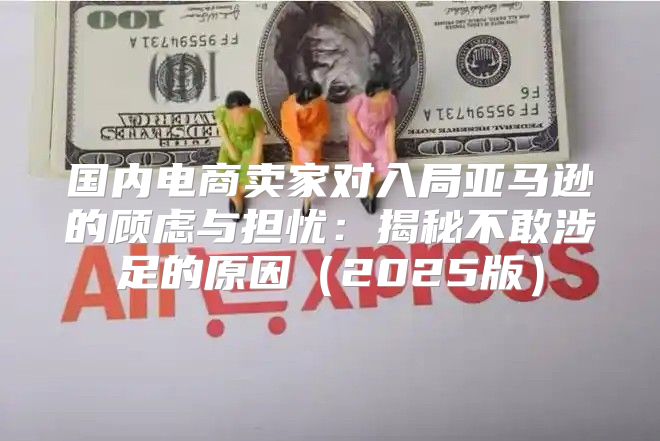 国内电商卖家对入局亚马逊的顾虑与担忧：揭秘不敢涉足的原因2025版