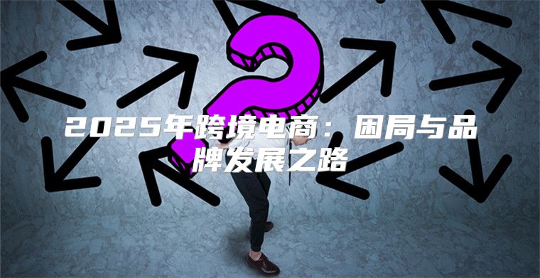 2025年跨境电商：困局与品牌发展之路