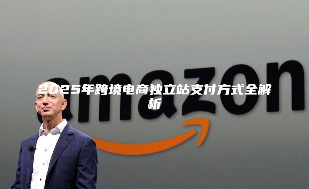 2025年跨境电商独立站支付方式全解析