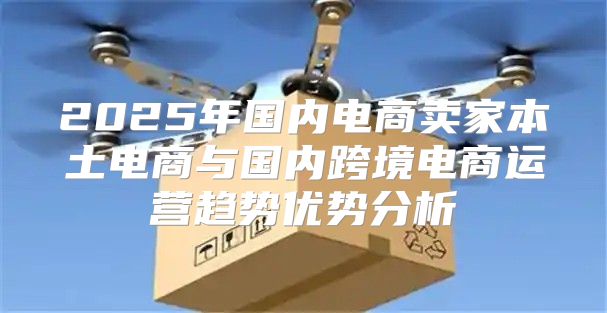 2025年国内电商卖家本土电商与国内跨境电商运营趋势优势分析