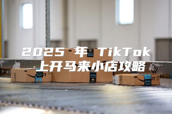 2025 年 TikTok 上开马来小店攻略