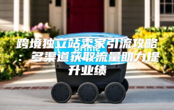 跨境独立站卖家引流攻略：多渠道获取流量助力提升业绩