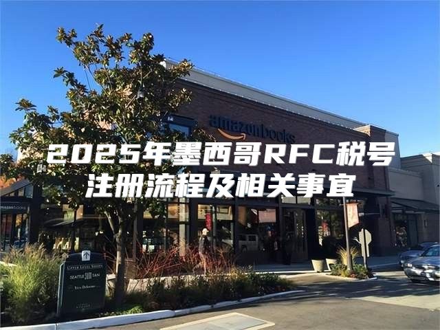 2025年墨西哥RFC税号注册流程及相关事宜