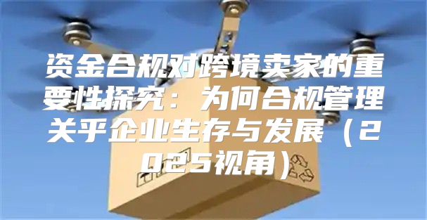 资金合规对跨境卖家的重要性探究：为何合规管理关乎企业生存与发展2025视角