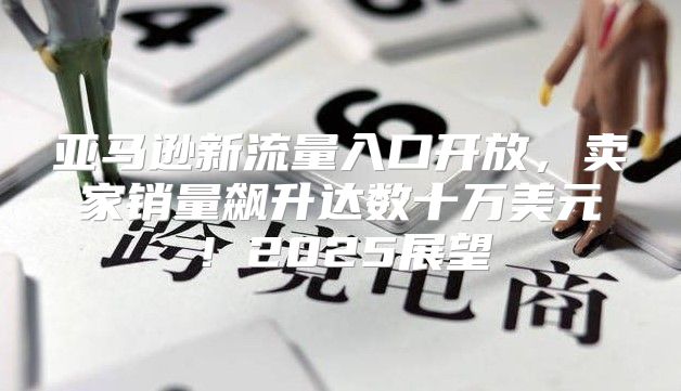 亚马逊新流量入口开放，卖家销量飙升达数十万美元！2025展望