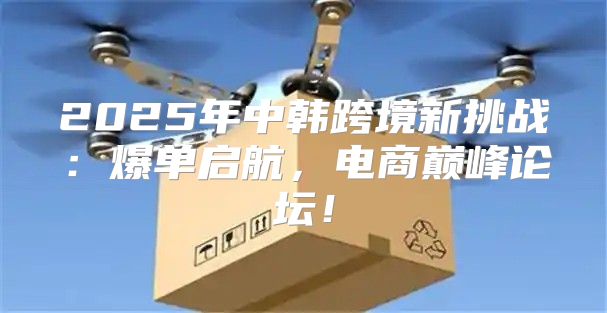 2025年中韩跨境新挑战：爆单启航，电商巅峰论坛！