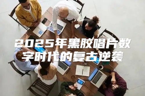 2025年黑胶唱片数字时代的复古逆袭
