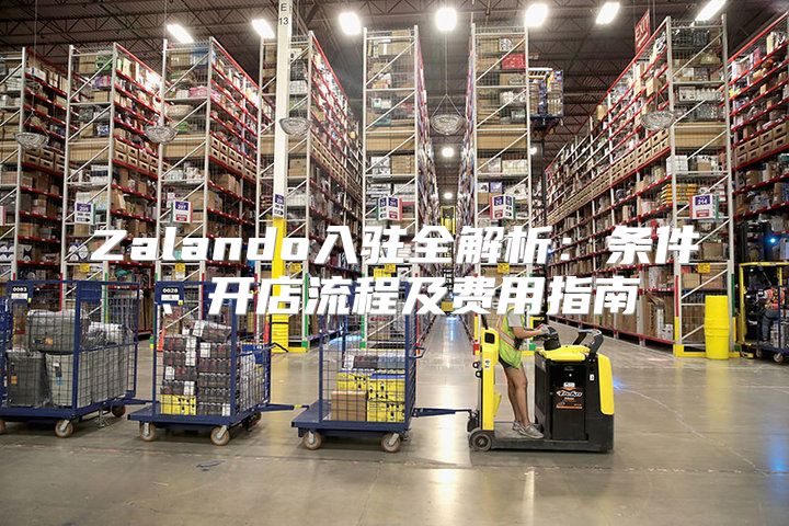 Zalando入驻全解析：条件、开店流程及费用指南
