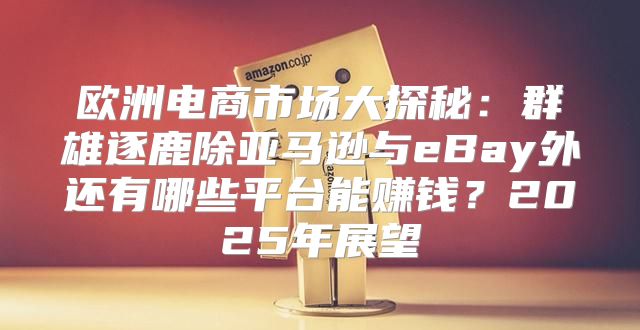欧洲电商市场大探秘：群雄逐鹿除亚马逊与eBay外还有哪些平台能赚钱？2025年展望