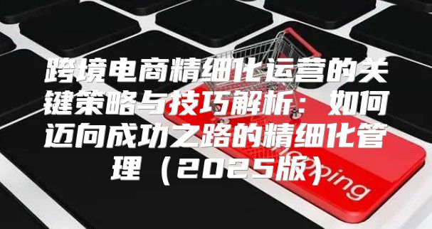 跨境电商精细化运营的关键策略与技巧解析：如何迈向成功之路的精细化管理2025版