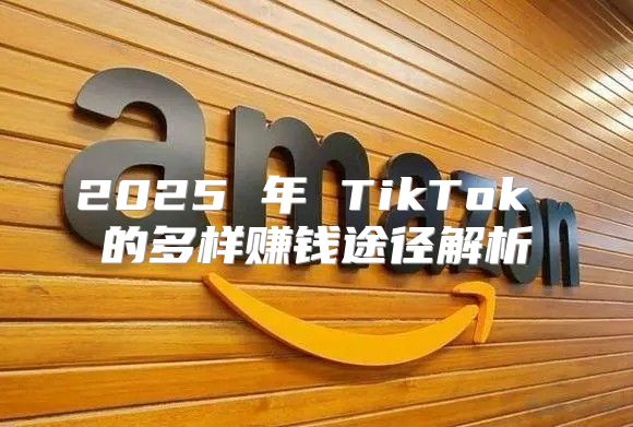 2025 年 TikTok 的多样赚钱途径解析