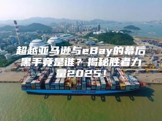 超越亚马逊与eBay的幕后黑手竟是谁？揭秘胜者力量2025！