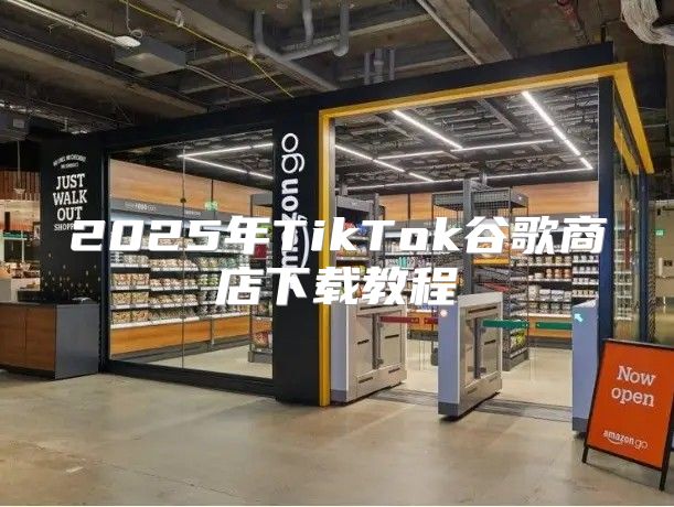 2025年TikTok谷歌商店下载教程
