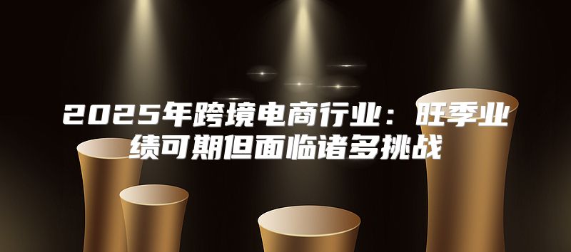 2025年跨境电商行业：旺季业绩可期但面临诸多挑战