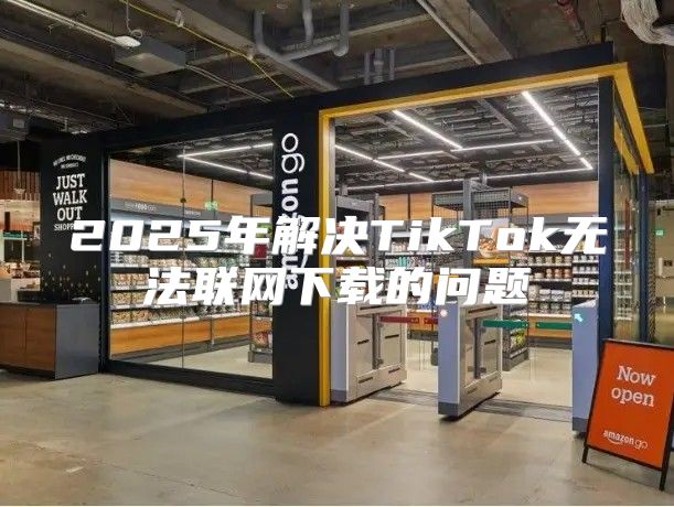 2025年解决TikTok无法联网下载的问题