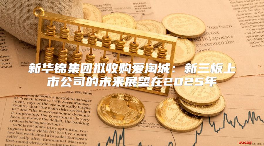 新华锦集团拟收购爱淘城：新三板上市公司的未来展望在2025年