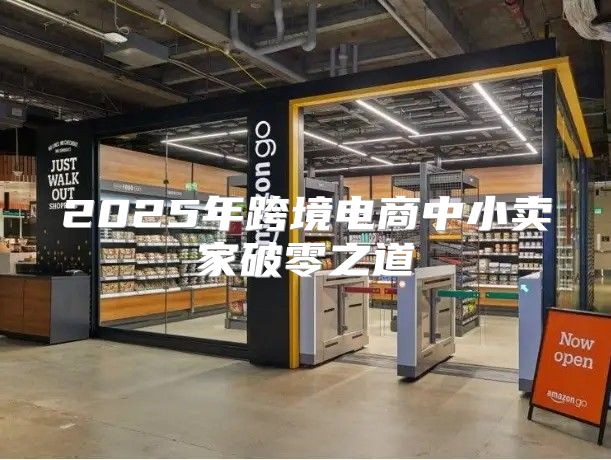 2025年跨境电商中小卖家破零之道
