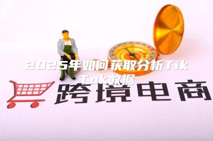 2025年如何获取分析TikTok数据