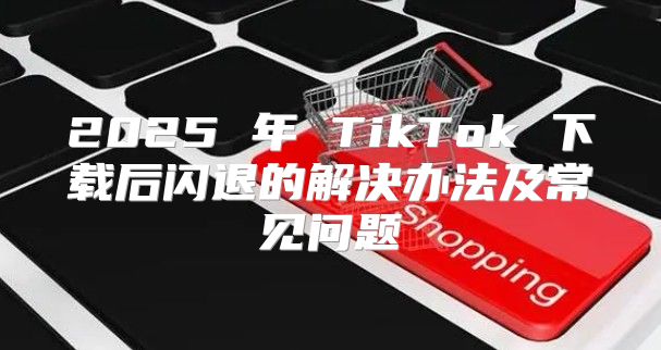 2025 年 TikTok 下载后闪退的解决办法及常见问题