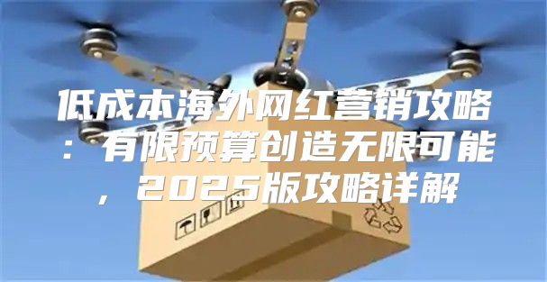 低成本海外网红营销攻略：有限预算创造无限可能，2025版攻略详解
