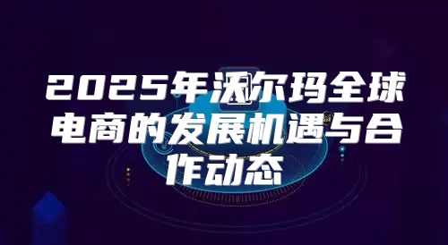 2025年沃尔玛全球电商的发展机遇与合作动态