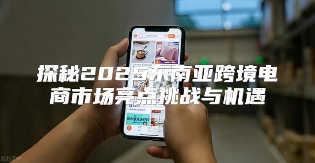 探秘2025东南亚跨境电商市场亮点挑战与机遇