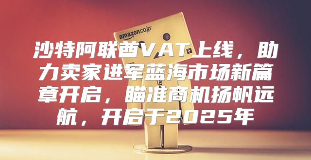 沙特阿联酋VAT上线，助力卖家进军蓝海市场新篇章开启，瞄准商机扬帆远航，开启于2025年