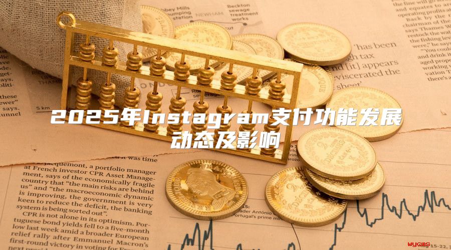 2025年Instagram支付功能发展动态及影响