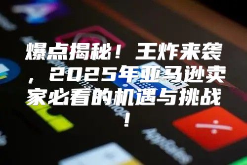 爆点揭秘！王炸来袭，2025年亚马逊卖家必看的机遇与挑战！