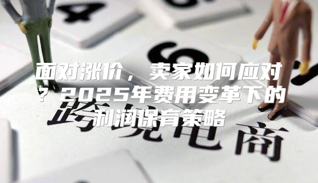 面对涨价，卖家如何应对？2025年费用变革下的利润保育策略
