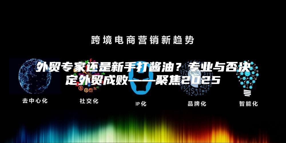 外贸专家还是新手打酱油？专业与否决定外贸成败——聚焦2025