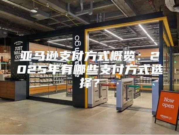 亚马逊支付方式概览：2025年有哪些支付方式选择？
