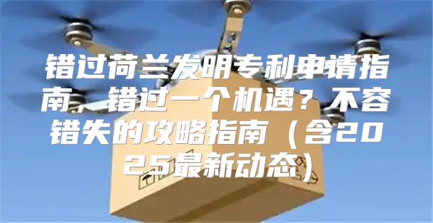 错过荷兰发明专利申请指南，错过一个机遇？不容错失的攻略指南含2025最新动态