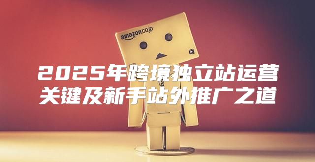 2025年跨境独立站运营关键及新手站外推广之道