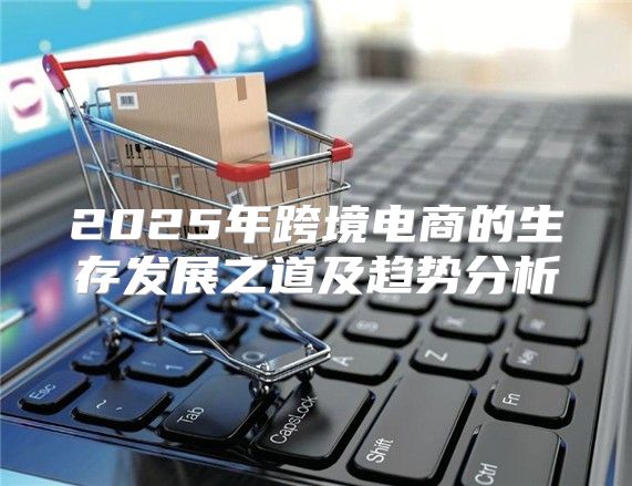 2025年跨境电商的生存发展之道及趋势分析