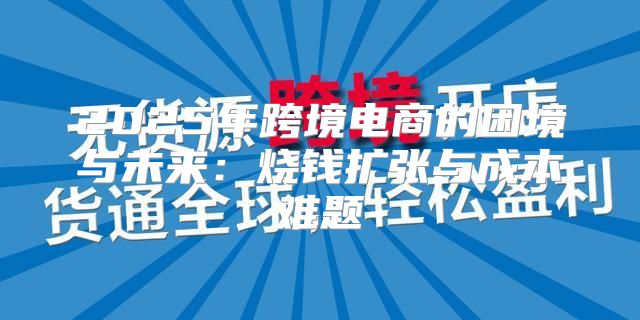 2025年跨境电商的困境与未来：烧钱扩张与成本难题