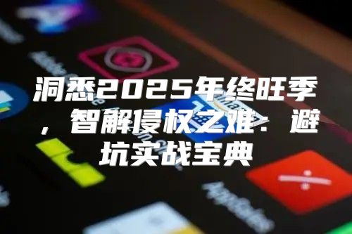 洞悉2025年终旺季，智解侵权之难：避坑实战宝典