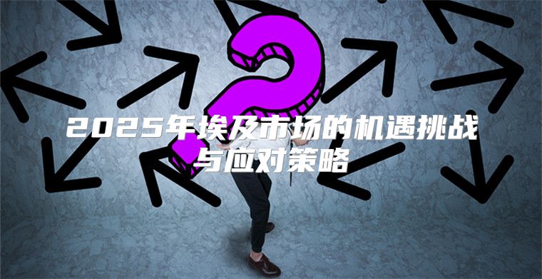 2025年埃及市场的机遇挑战与应对策略