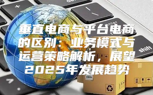 垂直电商与平台电商的区别：业务模式与运营策略解析，展望2025年发展趋势