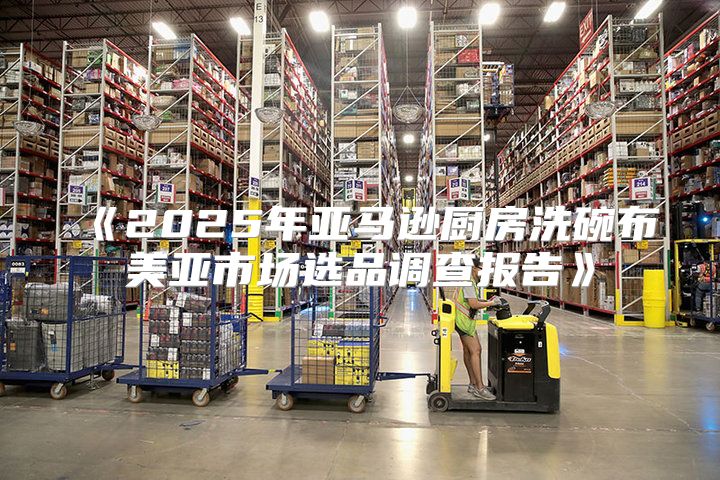 2025年亚马逊厨房洗碗布美亚市场选品调查报告