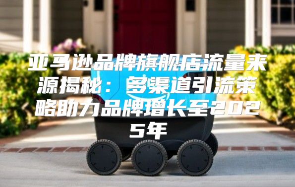 亚马逊品牌旗舰店流量来源揭秘：多渠道引流策略助力品牌增长至2025年